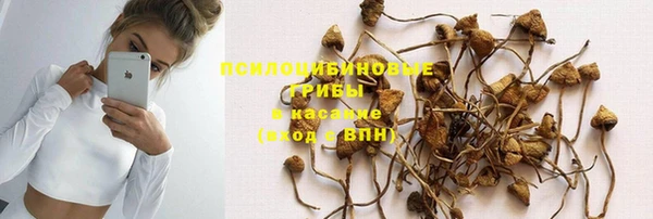 мяу мяу мука Пролетарск