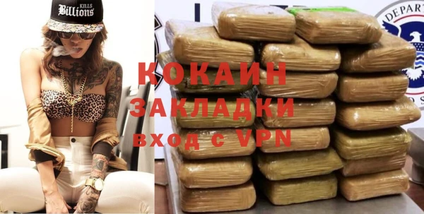 сатива Заводоуковск