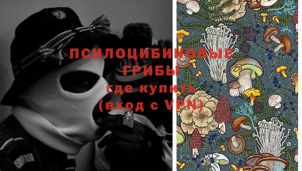 мяу мяу мука Пролетарск