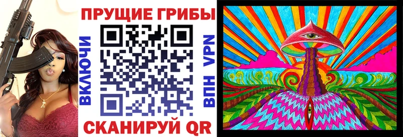 что такое   Светогорск  ОМГ ОМГ ссылка  Псилоцибиновые грибы Psilocybe 